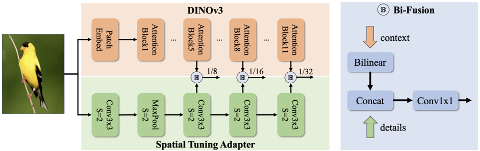 DEIMv2: DINOv3 features and spatial tuning adapter